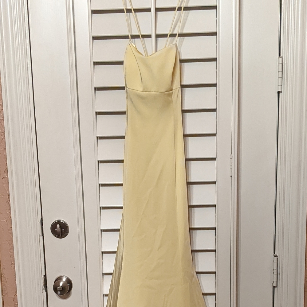 Camille La Vie Size 6P Prom Dress